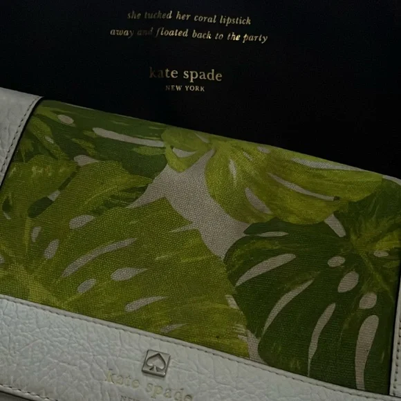 monstera deliciosa online Buy Monstera Deliciosa
